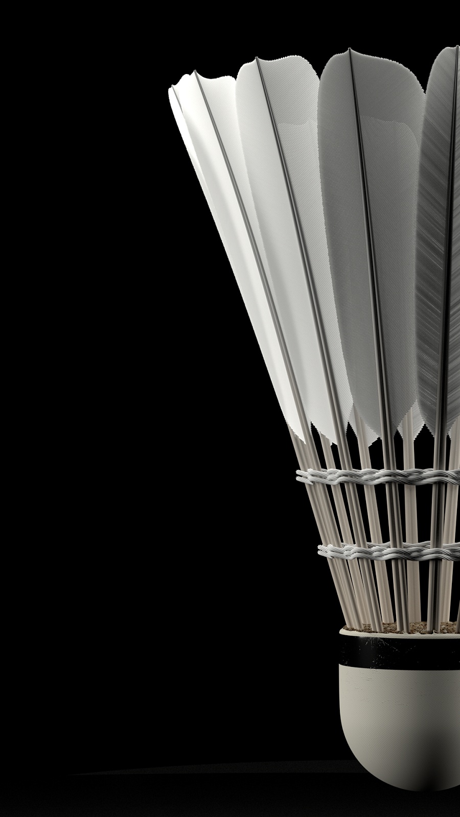 希望在接下 希望在接下