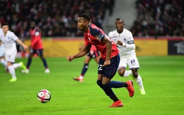 以其独到的 以其独到的