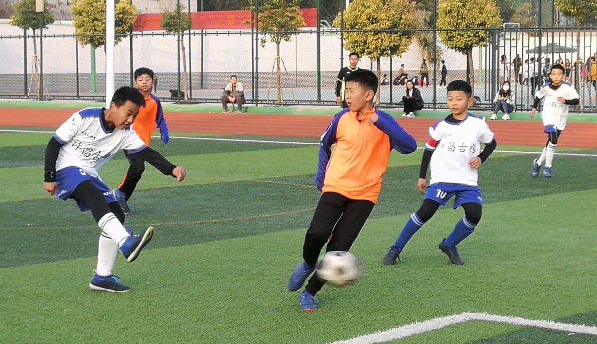 词条联动决 词条联动决